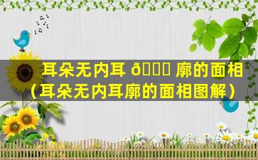 耳朵无内耳 🐕 廓的面相（耳朵无内耳廓的面相图解）